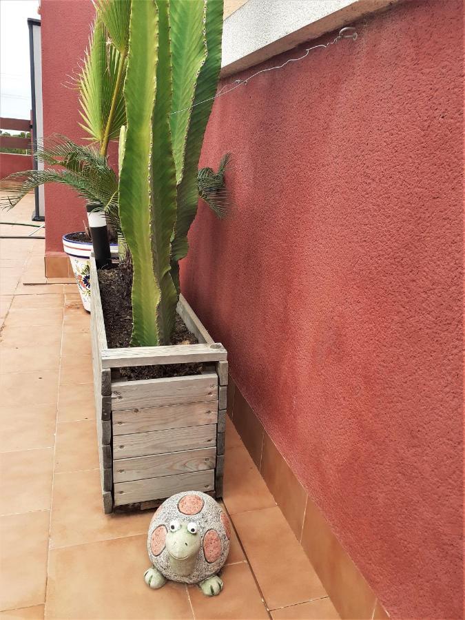 CASA OHANA solarium, jacuzzi,piscine,tout confort Orihuela Esterno foto
